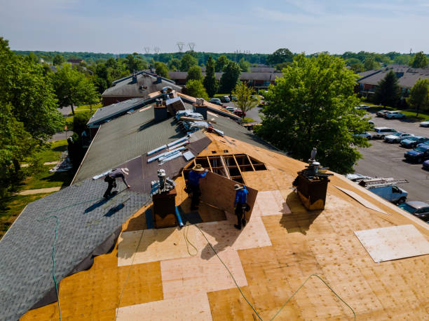 Trusted Roof Replacement service in Ferguson, NC - Brentwood Metal Roofing